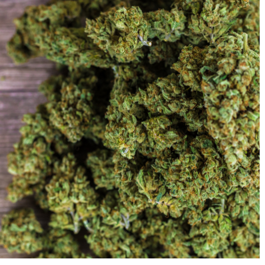 THCa vs Delta-9 vs CBD: Which One Is Right for You?