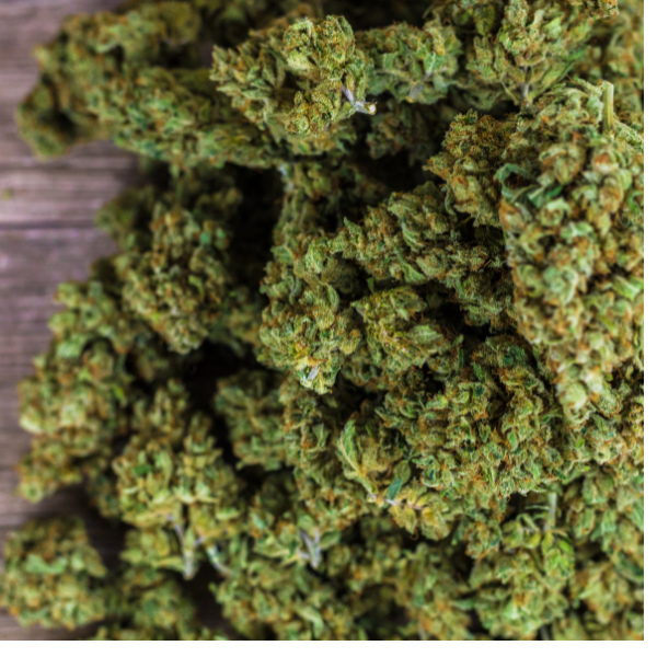 THCa vs Delta-9 vs CBD: Which One Is Right for You?